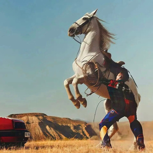 欧美大鸡巴插亚州女人
